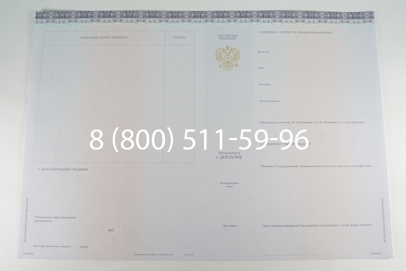 Диплом бакалавра (Киржач) 2014-2024 года в Ярославле Диплом бакалавра (Киржач) 2014-2024 года в Ярославле