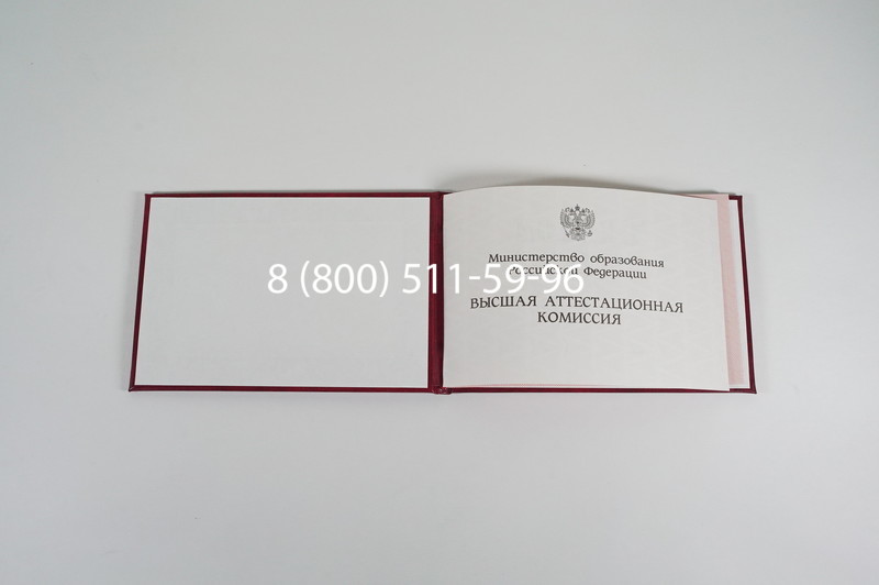 Диплом доктора наук 1995-2006 года в Ярославле Диплом доктора наук 1995-2006 года в Ярославле
