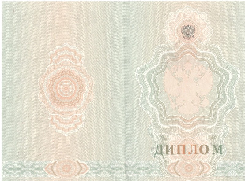Купить Диплом о начальном образовании  2007-2009 годов в Ярославле