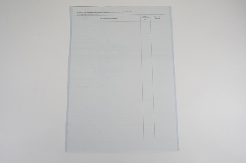 Диплом о начальном образовании  2007-2009 годов в Ярославле